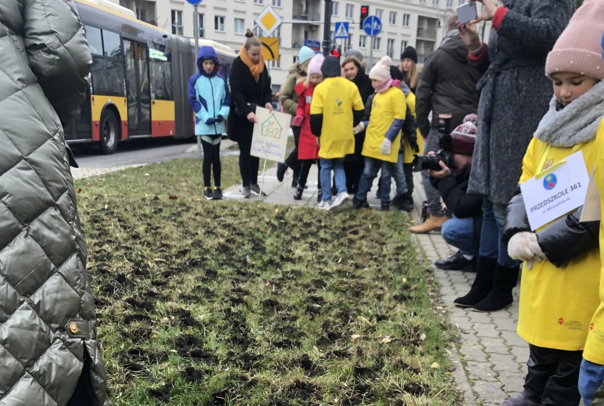 ​8 tysięcy żonkili miało zostać zasadzonych przed Parkiem Wilsona w Warszawie. Wszystko w ramach akcji Pola Nadziei, która ma zachęcić do wsparcia finansowego stołecznych hospicjów.