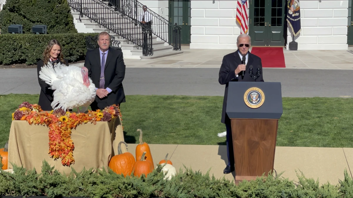 Amerykanie przygotowują się do Święta Dziękczynienia oraz Bożego Narodzenia. W najbliższy czwartek najważniejsze amerykańskie święto, Święto Dziękczynienia. Mieszkańcy USA zasiądą do stołów, spotkają się z bliskimi. W poniedziałek prezydent Joe Biden, zgodnie z tradycją ułaskawił dwa indyki. Przywieziono je z Karoliny Północnej. Chocolate i Chip dożyją spokojnej starości. Zamieszkają na terenie uniwersytetu stanowego Karoliny Północnej. Wezmą udział w wystawach i będą wykorzystywane w celach edukacyjnych.