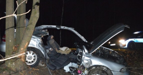 13-letnia pasażerka samochodu zginęła w wypadku, do którego doszło w Bieniowie w gminie Rejowiec na Lubelszczyźnie. Kierujący audi 18-latek z poważnymi obrażeniami ciała trafił do szpitala. Z ustaleń policji wynika, że na łuku drogi chłopak stracił panowanie nad autem, zjechał na lewe pobocze i uderzył w drzewo.