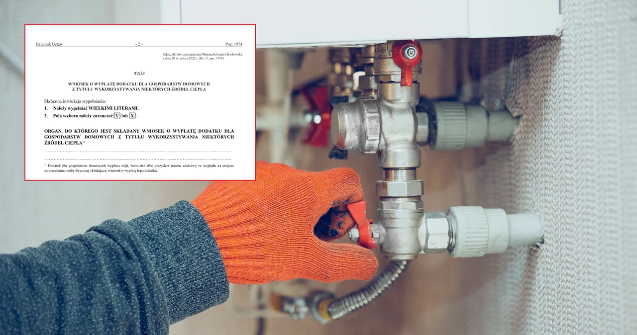 Dopłata Do Gazu Wniosek Online - Dopłaty do gazu LPG oraz dodatek do gazu ziemnego. Do kiedy wniosek? Co