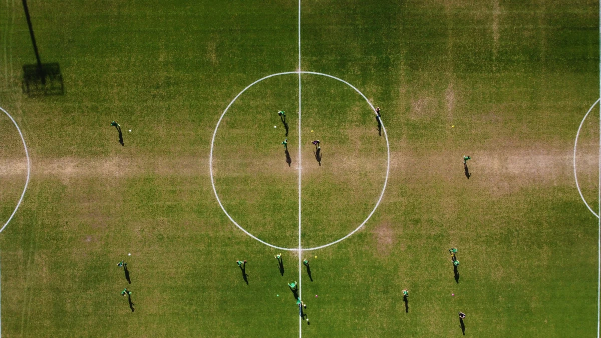 Zdaniem ornitologa z Uniwersytetu Przyrodniczego w Poznaniu piłkarze biegający na boisku mają wiele wspólnego z... ptakami. Naukowiec powiedział, że sprawą zajął się, gdy podczas seminarium naukowego spotkał się z pytaniami "o to, czy modele matematyczne stosowane w ekologii są użyteczne w zrozumieniu gry piłkarzy".