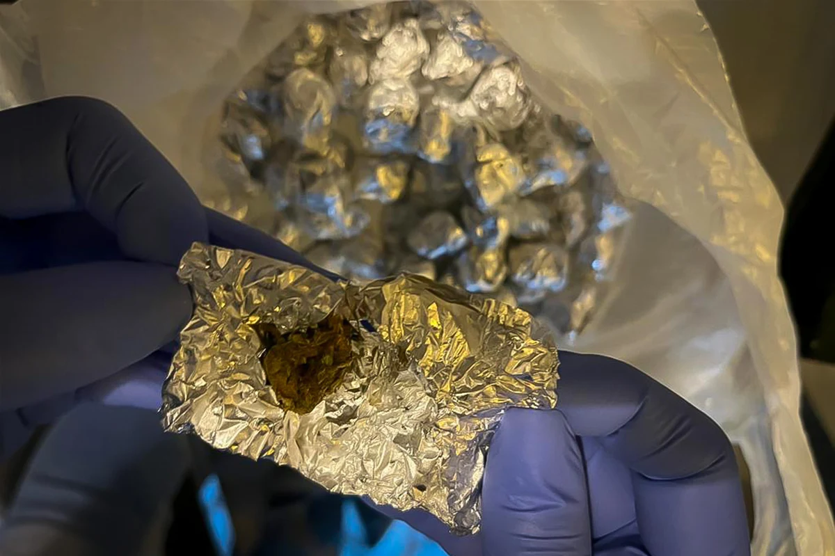 Policjanci CBŚP pod nadzorem prokuratury rozbili grupę przestępczą zajmującą się produkcją i obrotem narkotykami. Do sprawy zatrzymano 12 osób, a 2 doprowadzono do prokuratury z aresztu śledczego. Jednym z nich był Robert Sz., ps. Śledź, który ukrył narkotyki w pralce.