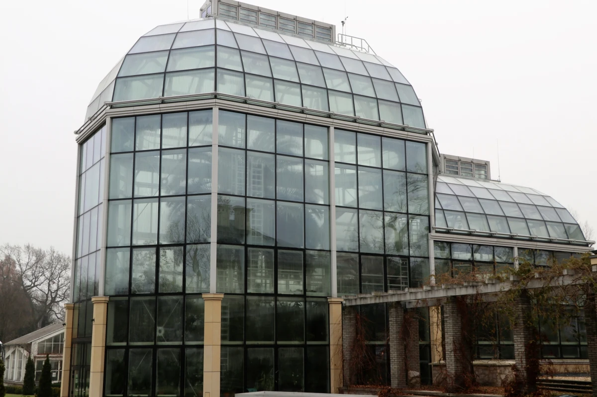 Krakowski ogród botaniczny chce wesprzeć ogród botaniczny we Lwowie. Z powodu problemów ze stabilnym ogrzewaniem, zagrożone są tamtejsze cenne okazy. Ruszyła zbiórka pieniędzy na zakup agregatorów prądu. 