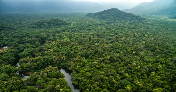 Od sierpnia 2021 roku do lipca 2022 roku w brazylijskiej części Puszczy Amazońskiej ścięto o 11 proc. mniej drzew niż w poprzednim 12-miesięcznym okresie, gdy za rządów prezydenta Brazylii Jaira Bolsonaro wylesianie osiągnęło najwyższe tempo od 2006 roku - wynika z danych agencji Inpe, zebranych dzięki monitoringowi satelitarnemu. 
