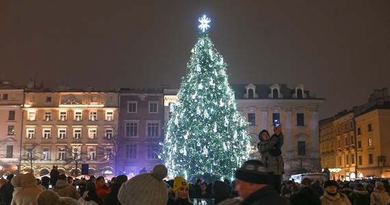 15-metrowy świerk stanął na Rynku Głównym w Krakowie. Drzewko zostało przystrojone 26 tysiącami energooszczędnych światełek, soplami imitującymi topnienie lodu i ponad tysiącem inkrustowanych baniek. Pobiera mniej energii od domowego czajnika. 