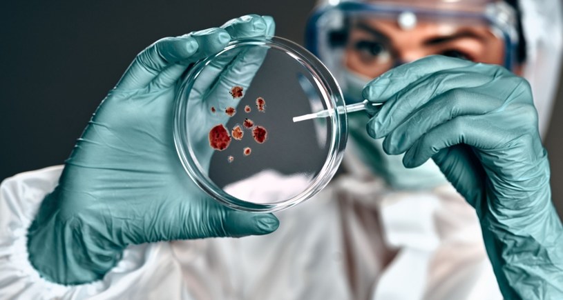 W próbkach pacjentów szpitala uniwersyteckiego w Bazylei w Szwajcarii odkryto ponad 30 nowych dla nauki gatunków bakterii. Jakie ma to konsekwencje dla naszego zdrowia?