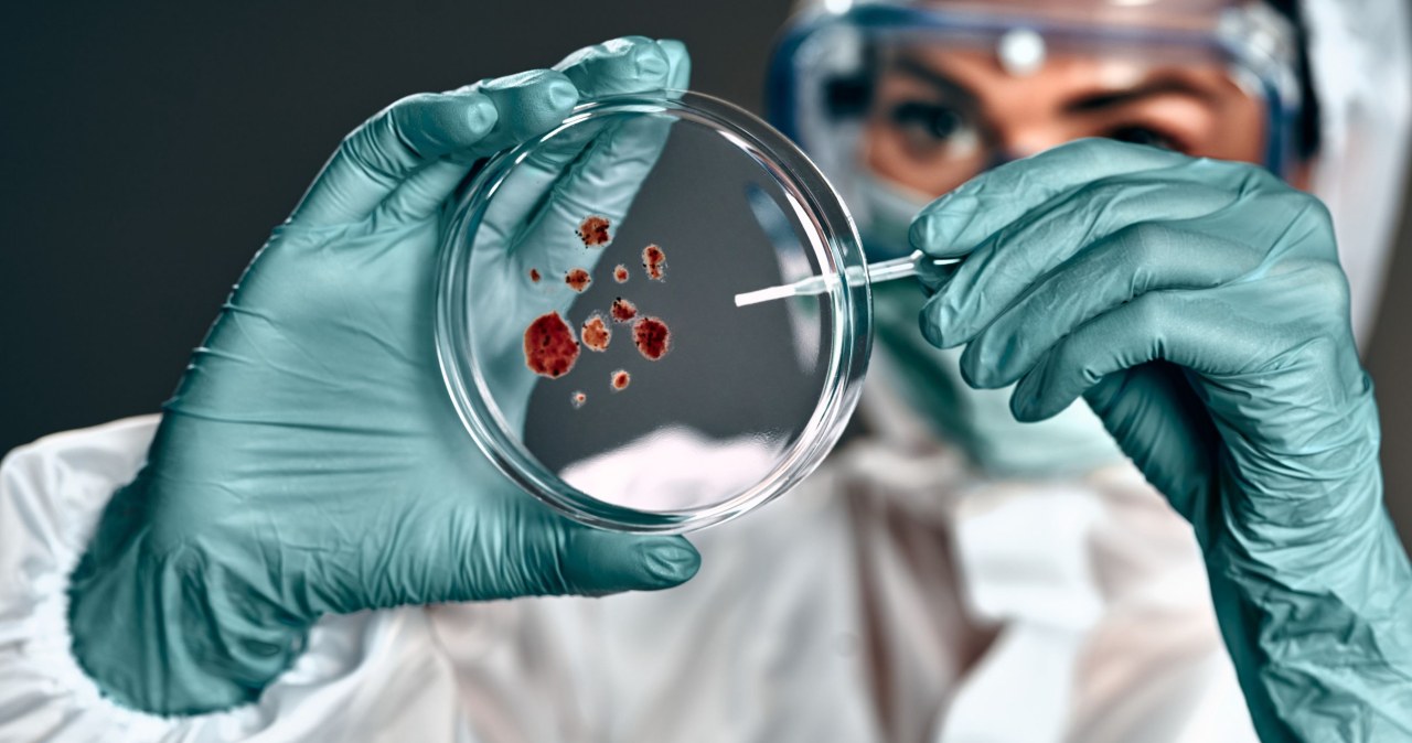 Nowa broń przeciwko grzybom. Przełom w walce z opornymi infekcjami