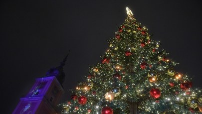 Świąteczna choinka w Warszawie. Zobaczcie zdjęcia