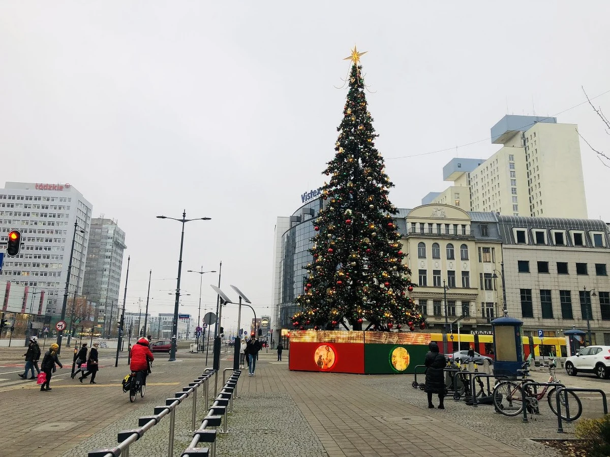 Tysiące światełek, LED-owe świece i gigantyczne bombki w czerwieni, złocie i zieleni - tak wystroiła się na święta największa łódzka choinka. Drzewko stoi przy przystanku Piotrkowska Centrum.