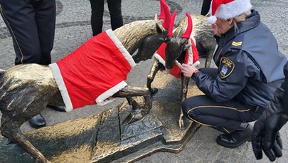 ​Pyrek i Tyrek w świątecznych strojach  