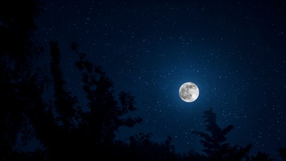 Zimny Księżyc pokaże się na niebie 8 grudnia. Na czym polega to zjawisko?