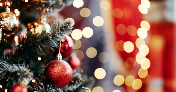 Przed olsztyńskim ratuszem rozświetlono świąteczną choinkę. Nie zabrakło kolęd, cukierków i rodzinnej atmosfery - podaje portal gazetaolsztynska.pl.