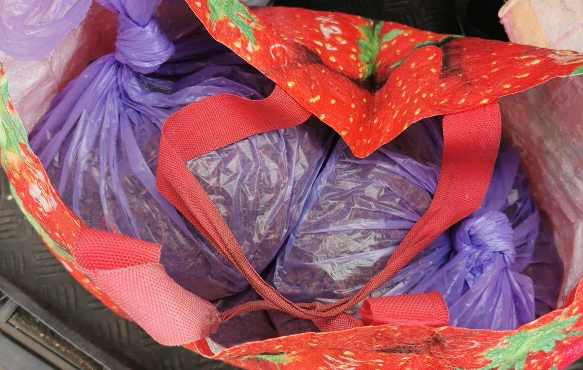 ​Olsztyńscy policjanci, wspólnie z funkcjonariuszami Służby Celno-Skarbowej zabezpieczyli 10 kilogramów suszu tytoniowego. Towar bez polskich znaków akcyzy został znaleziony w aucie, którym podróżował 72-latek.