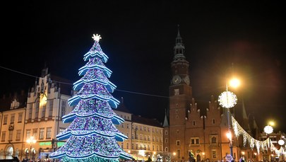 Wrocławska choinka w pełnym blasku. Rozświetliło ją 150 tysięcy światełek