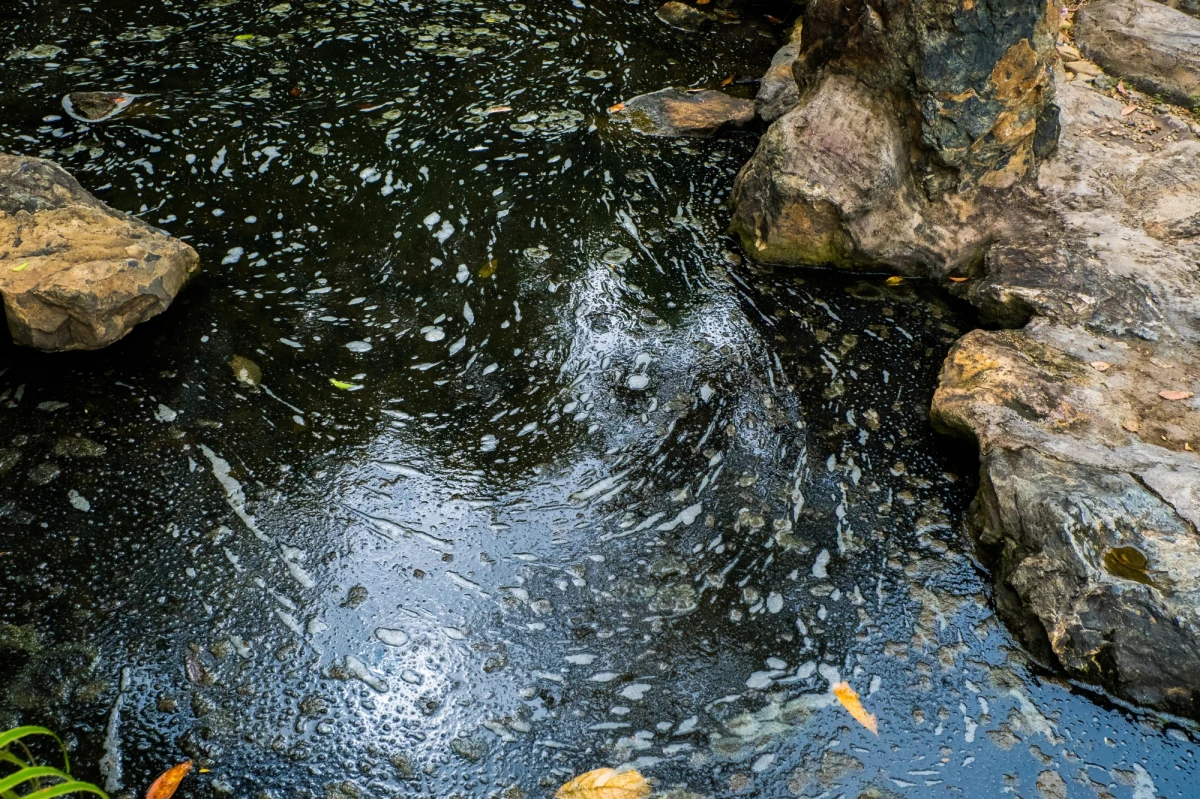 Do skażenia wody w potoku doszło przy drodze do Daniela, na samym dole od strony ul. Strążyskiej w Zakopanem. To kolejny w ostatnich dniach wyciek prawdopodobnie oleju. Niebezpieczną substancję usuwali we wtorek strażacy - podaje portal 24tp.pl.