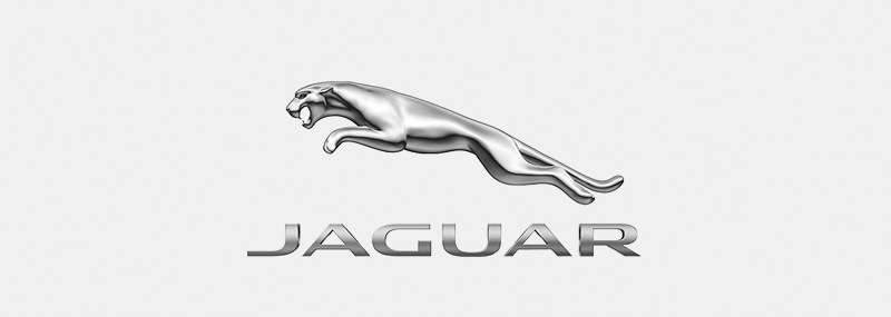 Jaguar - najważniejsze informacje