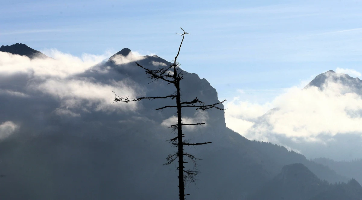 Prokuratura Okręgowa w Krakowie umorzyła postępowanie w sprawie śmiertelnego wypadku trzech Polaków na Gerlachu w Tatrach słowackich. Do wypadku doszło w styczniu tego roku. 
Śledczy nie dopatrzyli się znamion czynu zabronionego –zaznaczył rzecznik krakowskiej prokuratury Janusz Hnatko.
