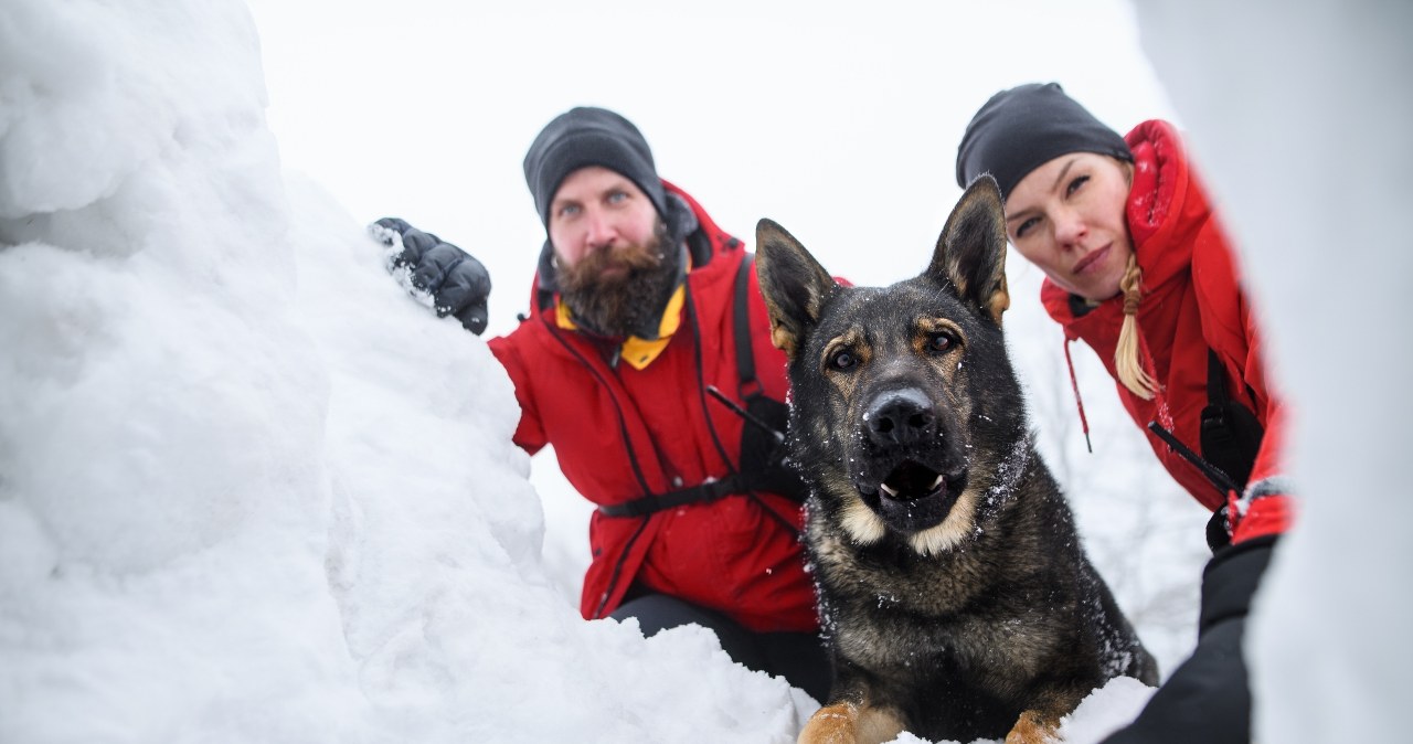 Najniższe temperatury ciała, jakie przeżyli ludzie. Rekord w Polsce