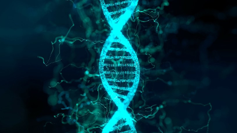 DNA - najważniejsze informacje