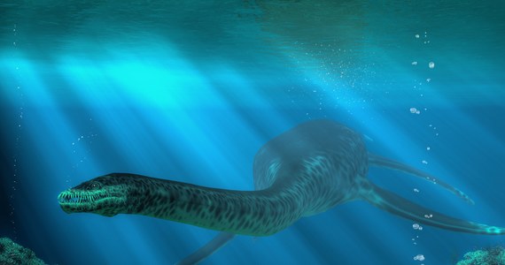 Odnalezienie w Australii szkieletu gigantycznego gada morskiego sprzed 100 mln lat zostało okrzyknięte przełomem, który może dostarczyć niezwykle ważnych wskazówek dla badaczy prehistorii – informuje stacja CNN.