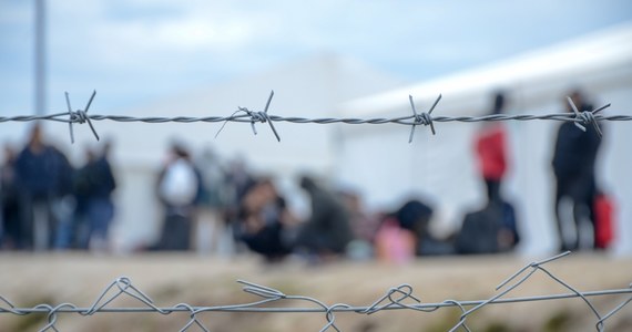 "Rozbiliśmy sieć przestępczą przemycającą migrantów z Iraku przez Białoruś do Polski oraz na Łotwę i Litwę, a następnie do innych krajów UE" - poinformowała unijna Agencja ds. współpracy organów ścigania (Europol).