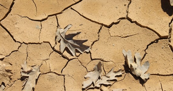 Pomimo padających w październiku i listopadzie deszczów, w Hiszpanii w dalszym ciągu utrzymuje się susza - wynika z ocen rządu. Gabinet Pedro Sancheza zwraca uwagę, że na początku grudnia stan rezerw wody w kraju wynosił zaledwie 34,3 proc.
