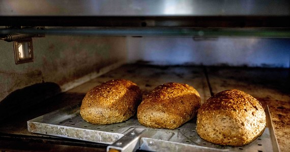 "Możemy zamykać piekarnie i zwalniać ludzi" - mówią piekarze, obawiający się rachunków za prowadzenie biznesów w przyszłym roku. Ceny za gaz mogą sprawić, że część zakładów nie przetrwa. W rozmowie z RMF FM wyliczają, ile możemy zapłacić za bochenek chleba w przyszłym roku. 