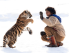 Zobacz trailer: Pimi z Krainy Tygrysów