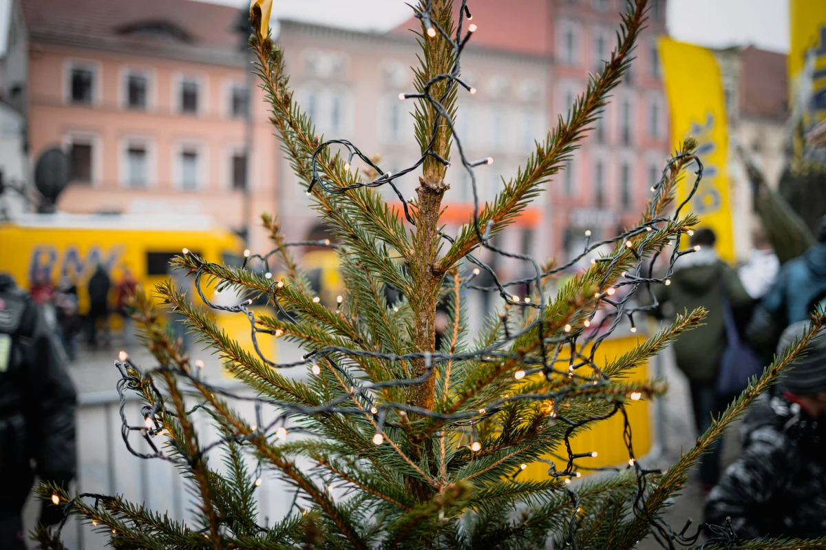 Niedzielne obfite opady śniegu dały nam jasny sygnał - Bożego Narodzenie zbliża się wielkimi krokami! RMF FM - jak co roku - pomoże Wam w tworzeniu świątecznej atmosfery. Już w poniedziałek rusza nasz świąteczny konwój, który w tym roku odwiedzi 14 miast. 12 grudnia spotykamy się w Nowym Sączu i Tarnowie!