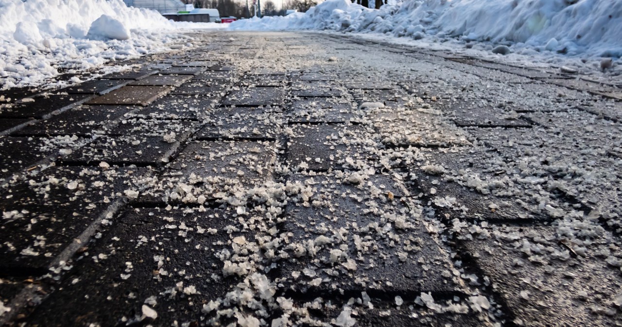 "Niewinna" sól drogowa szkodzi naturze. Naukowcy biją na alarm