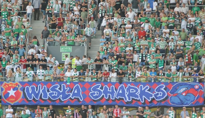 Pseudokibice Wisła Sharks przed sądem. 215 przestępstw