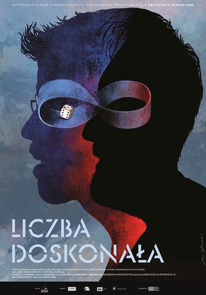 Liczba doskonała