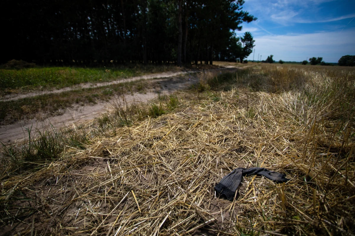 Do 3 lat więzienia grozi 62-letniemu właścicielowi trzech psów, które w lipcu w gminie Jeziorzany (woj. lubelskie) zagryzły 48-latka. Akt oskarżenia przeciwko 62-latkowi został skierowany do sądu.