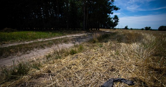 Do 3 lat więzienia grozi 62-letniemu właścicielowi trzech psów, które w lipcu w gminie Jeziorzany (woj. lubelskie) zagryzły 48-latka. Akt oskarżenia przeciwko 62-latkowi został skierowany do sądu.