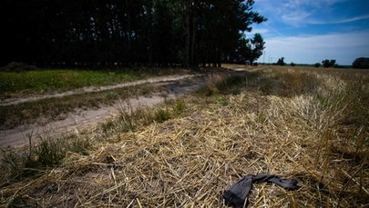 48-latek zagryziony przez psy. Właściciel zwierząt stanie przed sądem