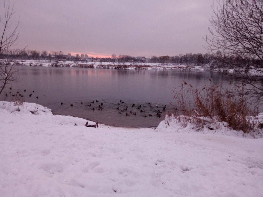 /Marlena Chudzio /RMF24