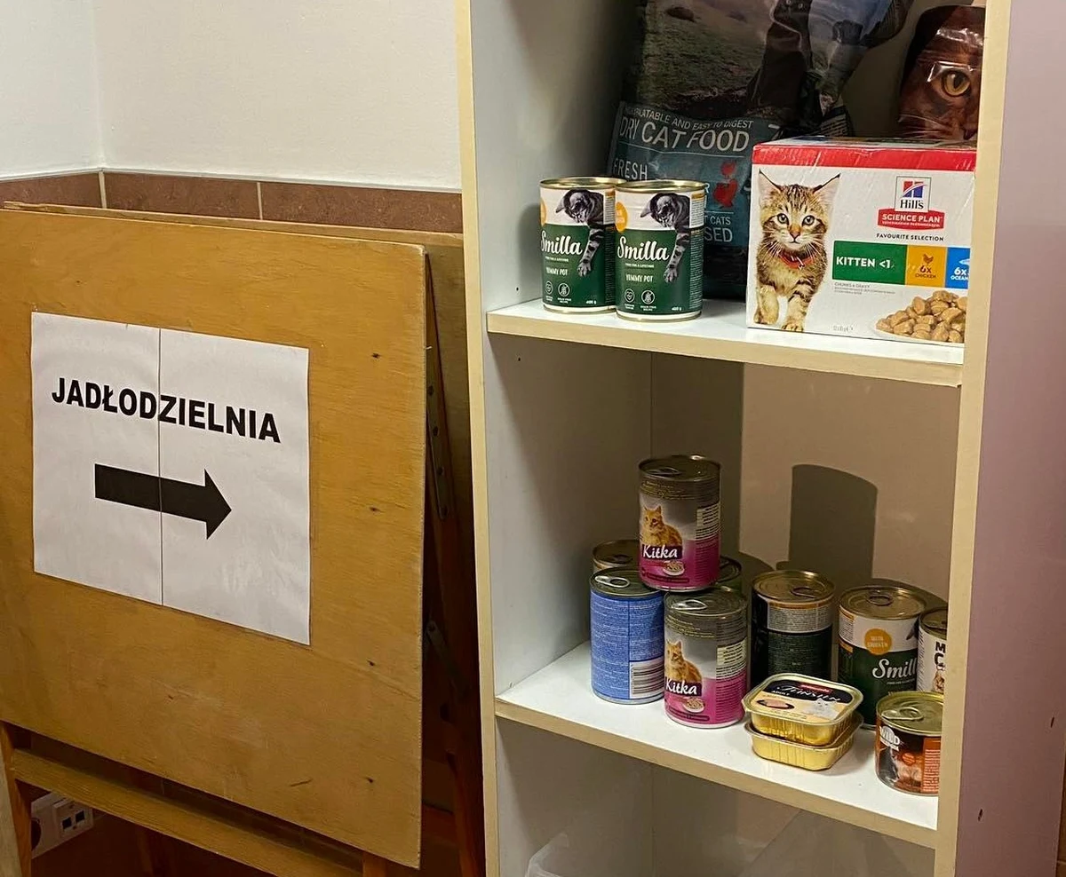 W Krośnie otwarto jadłodzielnię dla psów i kotów. Będą z niej skorzystać właściciele pupili, których nie stać na kupno karmy w sklepie. Jadłodzielnia funkcjonuje przy Regionalnym Centrum Kultur Pogranicza. 