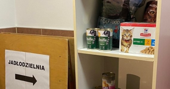 W Krośnie otwarto jadłodzielnię dla psów i kotów. Będą z niej skorzystać właściciele pupili, których nie stać na kupno karmy w sklepie. Jadłodzielnia funkcjonuje przy Regionalnym Centrum Kultur Pogranicza. 