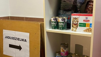 W Krośnie powstała jadłodzielnia dla psów i kotów