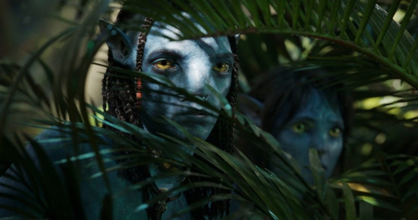 Czy po napisach końcowych jest jakaś dodatkowa scena? Takie pytanie w trakcie kinowego seansu zadaje sobie dziś wielu widzów. Jest ono o tyle zasadne, że w scenach po napisach końcowych reżyserzy często zdradzają szczegóły swoich kolejnych filmów. James Cameron takiej wskazówki nie zostawił - w filmie "Avatar: Istota wody", który wchodzi do kin w piątek 16 grudnia, nie znalazła się żadna dodatkowa scena.