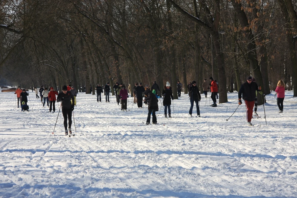 Kilkanaście centymetrów śniegu i temperatura na lekkim minusie pozwoliły łodzianom otworzyć sezon na narty biegowe. Łódź może pochwalić się świetnym terenem dla biegaczy w Lesie Łagiewnickim, gdzie są niewielkie wzniesienia urozmaicające rekreację. 