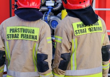 Zawalił się dach chlewni. Wewnątrz było około 400 świń