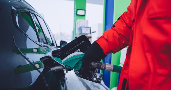 Między 19 a 25 grudnia na stacjach paliw może dojść do niewielkich zmian cen paliw - ocenia portal e-petrol. Zdaniem analityków do większych zmian cen może dość od nowego roku.
