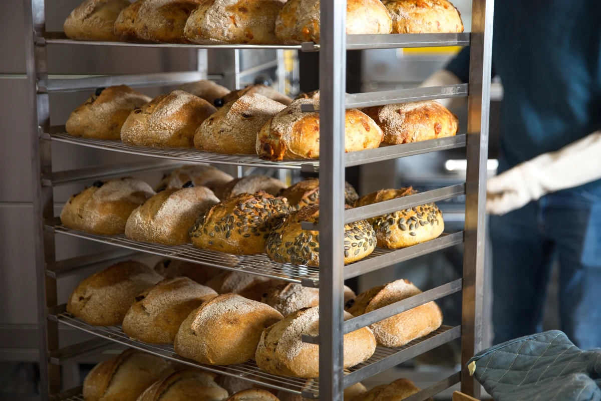 Piekarze są oburzeni odrzuceniem przez Sejm poprawek chroniących ich przed wzrostem cen gazu. Uchwalona wczoraj ustawa wprowadziła maksymalne ceny tego surowca. Nie uwzględniono w niej jednak wsparcia dla mikro, małych i średnich przedsiębiorstw - w tym piekarni. Te - już od przyszłego roku będą musiały zmierzyć się z ogromnymi kosztami. 