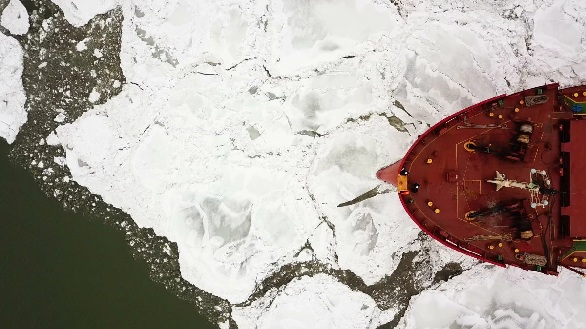 Ruszyła akacja lodołamania w Zachodniopomorskiem. Bierze w niej udział pięć jednostek. Jedna z nich skierowana została na jezioro Dąbie, pozostałe są w okolicy Gryfina, skąd będą płynęły w kierunku Widuchowej i Bielinka - poinformowały Wody Polskie.


