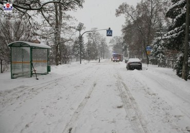 Nastolatka potrącona na pasach. 48-latek usłyszał zarzuty