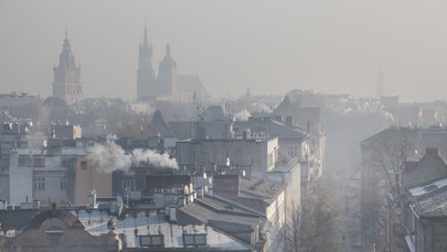 Strefa Czystego Transportu w Krakowie. Urzędnicy czekają na opinię prawną 