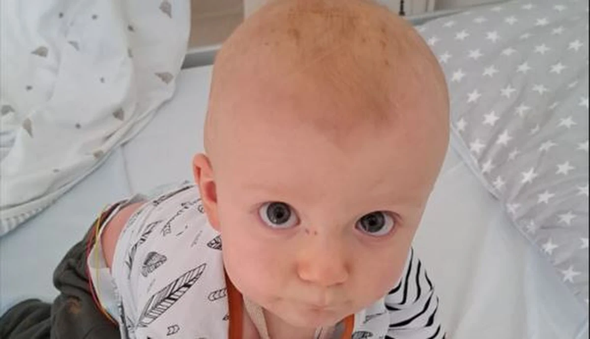 Leoś Polak 21 grudnia kończy rok. Niestety ostatnie miesiące naznaczone były cierpieniem chłopca i strachem jego rodziców o każdy dzień. Leoś choruje na ostrą białaczkę limfoblastyczną. Jego życia nie uratują pieniądze, potrzebuje szpiku. Trwają poszukiwania niespokrewnionego dawcy. Bliźniakiem genetycznym może okazać się każdy z nas.