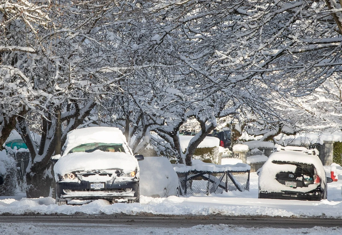 Intensywne opady śniegu, sięgające 30 cm na wyspie Vancouver i w sąsiednich rejonach tej części Kolumbii Brytyjskiej, zablokowały prace lotniska i mocno utrudniły korzystanie z transportu. Władze wezwały mieszkańców do pozostania w domach.
