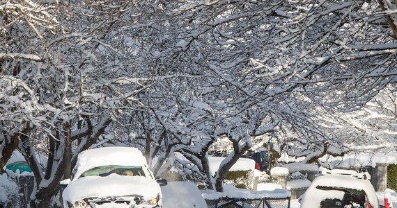 Intensywne opady śniegu, sięgające 30 cm na wyspie Vancouver i w sąsiednich rejonach tej części Kolumbii Brytyjskiej, zablokowały prace lotniska i mocno utrudniły korzystanie z transportu. Władze wezwały mieszkańców do pozostania w domach.

